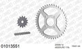 AFAM XS-ring standard Chain & Steel Sprocket Kit, 520 (OE Pitch) - Plain Steel 110 link XS-ring standard chain, 14T steel/44T Steel sprocket