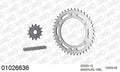 AFAM Xs-Ring Reinforced Plus Chain & Steel Sprocket Kit, 520 (OE Pitch) - Gold 106 link Xs-Ring Reinforced Plus chain, 13T steel/40T Steel s
