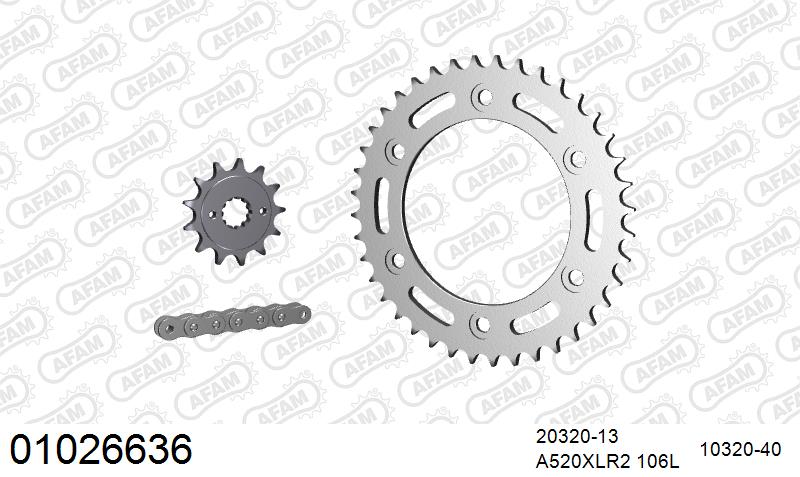 AFAM Xs-Ring Reinforced Plus Chain & Steel Sprocket Kit, 520 (OE Pitch) - Gold 106 link Xs-Ring Reinforced Plus chain, 13T steel/40T Steel s