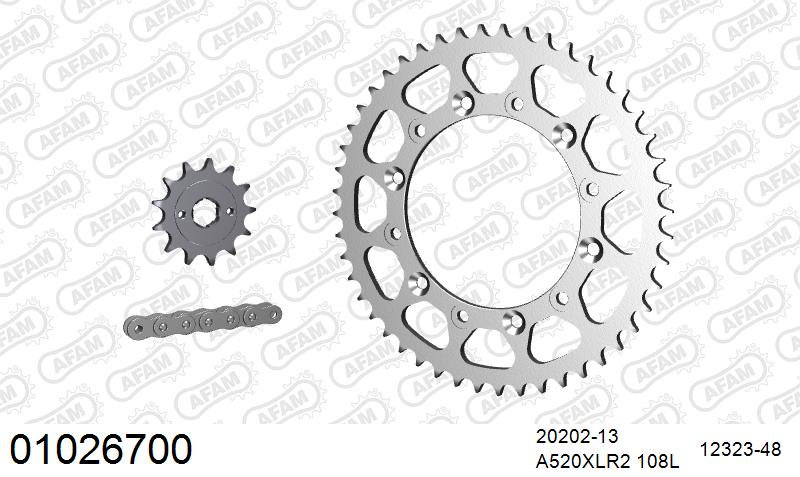 AFAM Xs-Ring Reinforced Plus Chain & Steel Sprocket Kit, 520 (OE Pitch) - Gold 108 link Xs-Ring Reinforced Plus chain, 13T steel/48T Steel s – Honda XR200R / 250 R 1986–1987