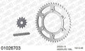 AFAM Xs-Ring Reinforced Plus Chain & Steel Sprocket Kit, 520 (OE Pitch) - Gold 106 link Xs-Ring Reinforced Plus chain, 13T steel/48T Steel s