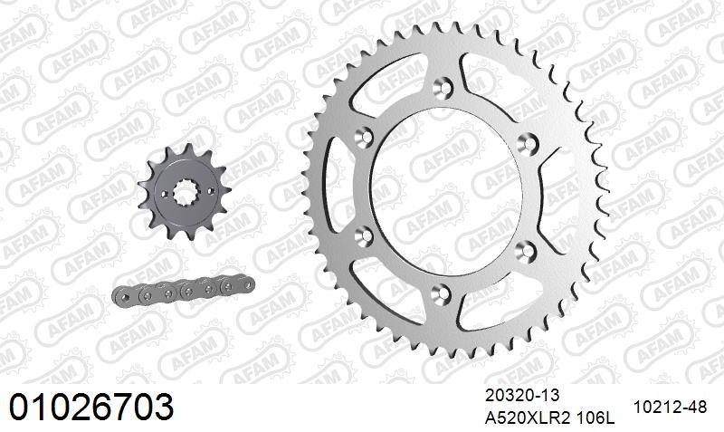 AFAM Xs-Ring Reinforced Plus Chain & Steel Sprocket Kit, 520 (OE Pitch) - Gold 106 link Xs-Ring Reinforced Plus chain, 13T steel/48T Steel s