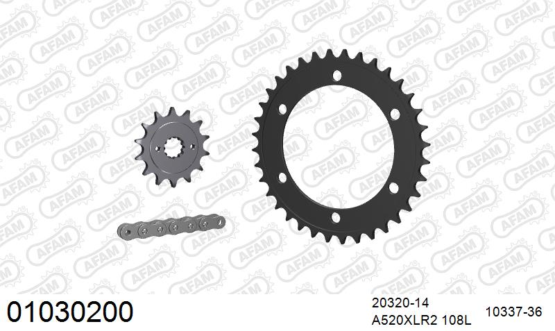 AFAM Xs-Ring Reinforced Plus Chain & Steel Sprocket Kit, 520 (OE Pitch) - Gold 108 link Xs-Ring Reinforced Plus chain, 14T steel/36T Steel s – Honda CB 300 FA ABS F,G,J,K 2015–2019 / Honda CBR300R 2014–2019