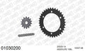 AFAM Xs-Ring Reinforced Plus Chain & Steel Sprocket Kit, 520 (OE Pitch) - Gold 108 link Xs-Ring Reinforced Plus chain, 14T steel/36T Steel s – Honda CB 300 FA ABS F,G,J,K 2015–2019 / Honda CBR300R 2014–2019