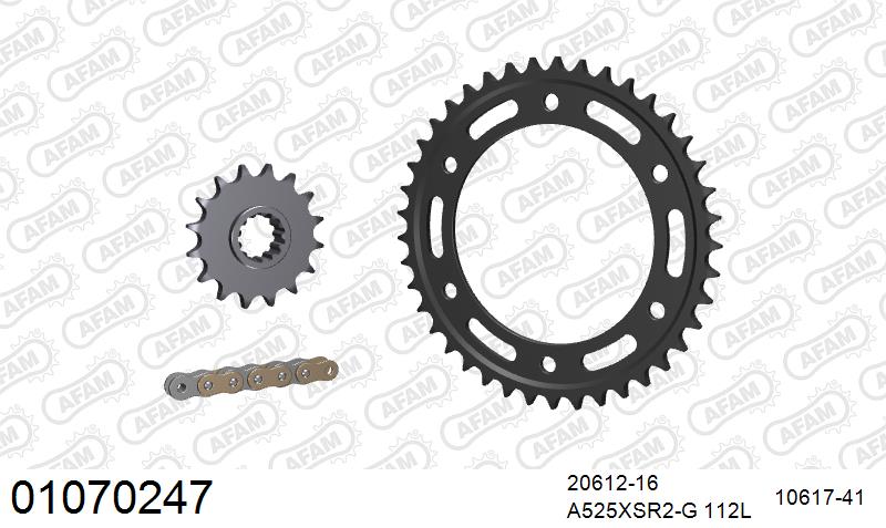 AFAM XS-ring super reinforced Chain & Steel Sprocket Kit, 525 (OE Pitch) - Gold 112 link XS-ring super reinforced chain, 16T steel/41T Steel