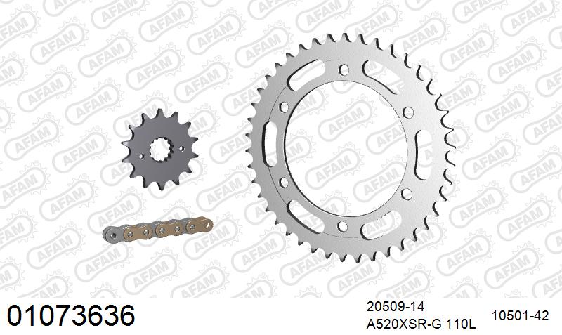AFAM XS-ring Extra Reinforced Chain & Steel Sprocket Kit, 520 (OE Pitch) - Plain Steel 110 link XS-ring Extra Reinforced chain, 14T steel/42