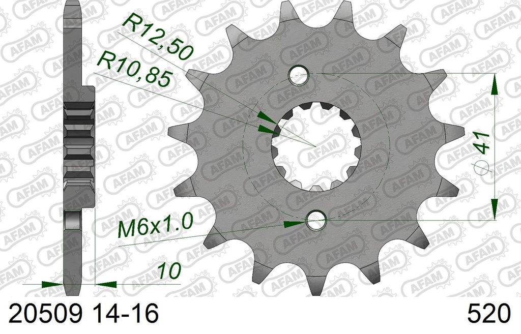AFAM XS-ring Extra Reinforced Chain & Steel Sprocket Kit, 520 (OE Pitch) - Plain Steel 110 link XS-ring Extra Reinforced chain, 14T steel/42
