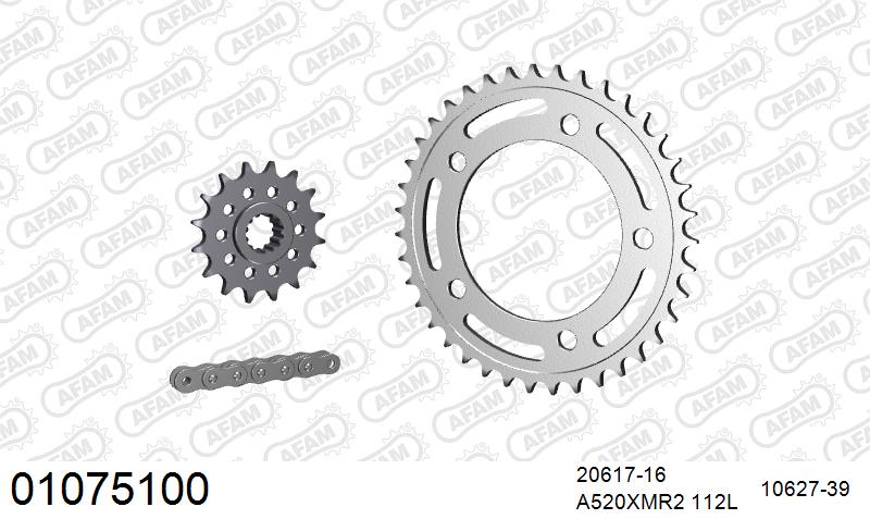 AFAM XS-ring Extra Reinforced Chain & Steel Sprocket Kit, 520 (OE Pitch) (01075100)