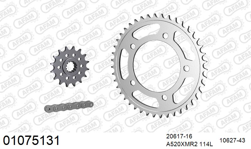AFAM XS-ring Extra Reinforced Chain & Steel Sprocket Kit, 520 (OE Pitch) - Plain Steel 114 link XS-ring Extra Reinforced chain, 16T steel/43