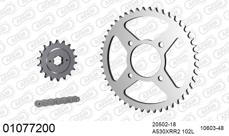 AFAM XS-ring Extra Reinforced Chain & Steel Sprocket Kit, 530 (OE Pitch) - Plain Steel 102 link XS-ring Extra Reinforced chain, 18T steel/48