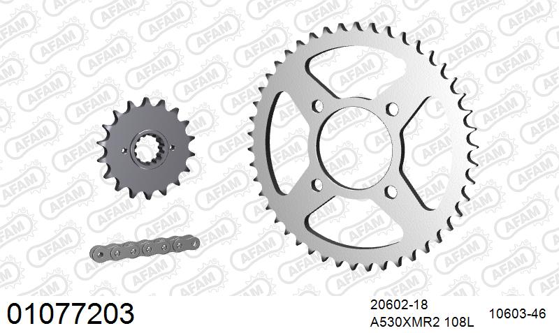 AFAM XS-ring Extra Reinforced Chain & Steel Sprocket Kit, 530 (OE Pitch) - Plain Steel 108 link XS-ring Extra Reinforced chain, 18T steel/46 – Honda CB750K 1980–1978