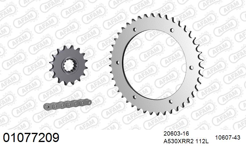 AFAM XS-ring Extra Reinforced Chain & Steel Sprocket Kit, 530 (OE Pitch) - Plain Steel 112 link XS-ring Extra Reinforced chain, 16T steel/43
