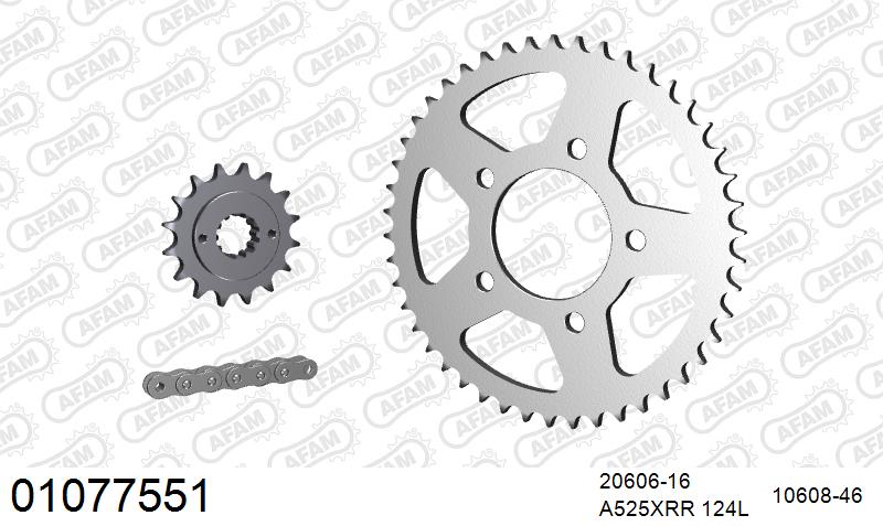 AFAM XS-ring Extra Reinforced Chain & Steel Sprocket Kit, 525 (OE Pitch) - Plain Steel 124 link XS-ring Extra Reinforced chain, 16T steel/46