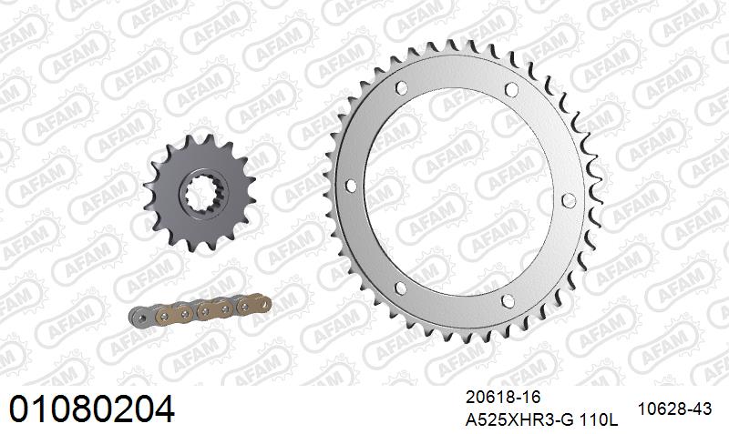 AFAM XS-ring Hyper reinforced Chain & Steel Sprocket Kit, 525 (OE Pitch) - Gold 110 link XS-ring Hyper reinforced chain, 16T steel/43T Steel