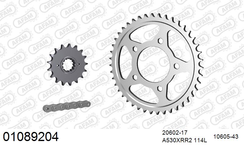 AFAM XS-ring Extra Reinforced Chain & Steel Sprocket Kit, 530 (OE Pitch) - Plain Steel 114 link XS-ring Extra Reinforced chain, 17T steel/43 – Honda CBR1000 1987–1988 / Honda VF1000F 1985–1986