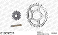 AFAM XS-ring super reinforced Chain & Steel Sprocket Kit, 530 (OE Pitch) - Gold 116 link XS-ring super reinforced chain, 17T steel/42T Steel