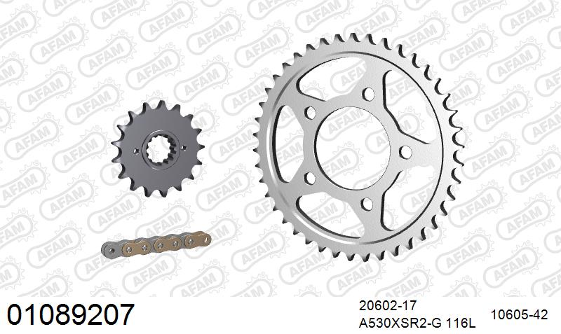 AFAM XS-ring super reinforced Chain & Steel Sprocket Kit, 530 (OE Pitch) - Gold 116 link XS-ring super reinforced chain, 17T steel/42T Steel