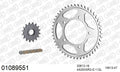 AFAM XS-ring super reinforced Chain & Steel Sprocket Kit, 525 (OE Pitch) - Gold 112 link XS-ring super reinforced chain, 16T steel/47T Steel