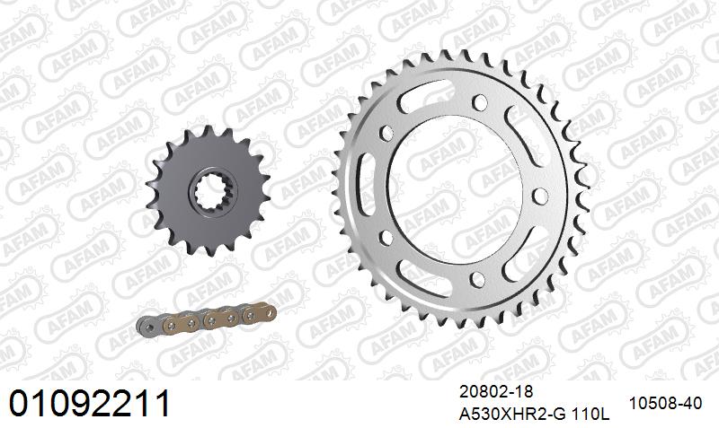 AFAM XS-ring Hyper reinforced Chain & Steel Sprocket Kit, 530 (OE Pitch) - Gold 110 link XS-ring Hyper reinforced chain, 18T steel/40T Steel – Honda CB1100 2014–2016 / Honda CB1100EX 2017–2019