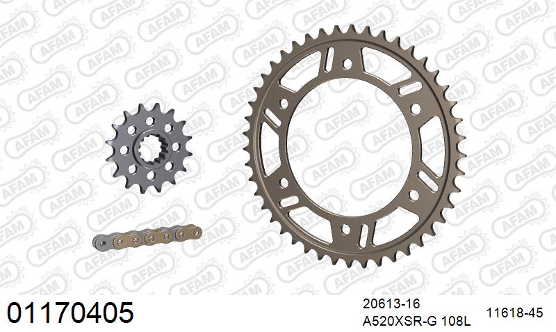 AFAM XS-ring super reinforced Chain & Alu Sprocket Kit, 520 conversion - Gold 108 link XS-ring super reinforced chain, 16T steel/45T Alu spr – Honda CBR600F 2001–2007