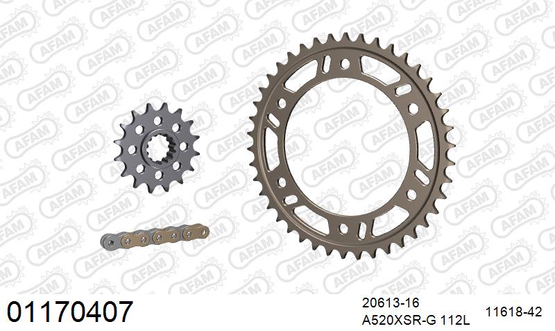 AFAM XS-ring super reinforced Chain & Alu Sprocket Kit, 520 conversion - Gold 112 link XS-ring super reinforced chain, 16T steel/42T Alu spr
