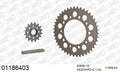AFAM XS-ring Hyper reinforced Chain & Alu Sprocket Kit, 520 conversion - Gold 114 link XS-ring Hyper reinforced chain, 16T steel/43T Alu spr – Honda CB900 Hornet 2002–2006