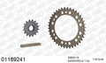 AFAM XS-ring Hyper reinforced Chain & Alu Sprocket Kit, 530 (OE Pitch) - Gold 114 link XS-ring Hyper reinforced chain, 16T steel/40T Alu spr