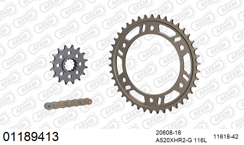 AFAM XS-ring Hyper reinforced Chain & Alu Sprocket Kit, 520 conversion - Gold 116 link XS-ring Hyper reinforced chain, 16T steel/42T Alu spr
