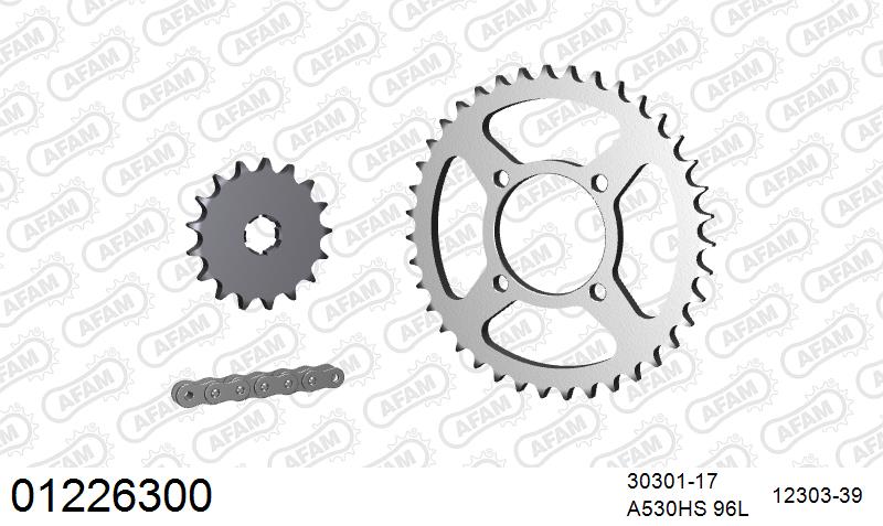 AFAM Reinforced Chain & Steel Sprocket Kit, 530 (OE Pitch) - Plain Steel 96 link Reinforced chain, 17T steel/39T Steel sprockets – Yamaha RD250 Aircooled 1976