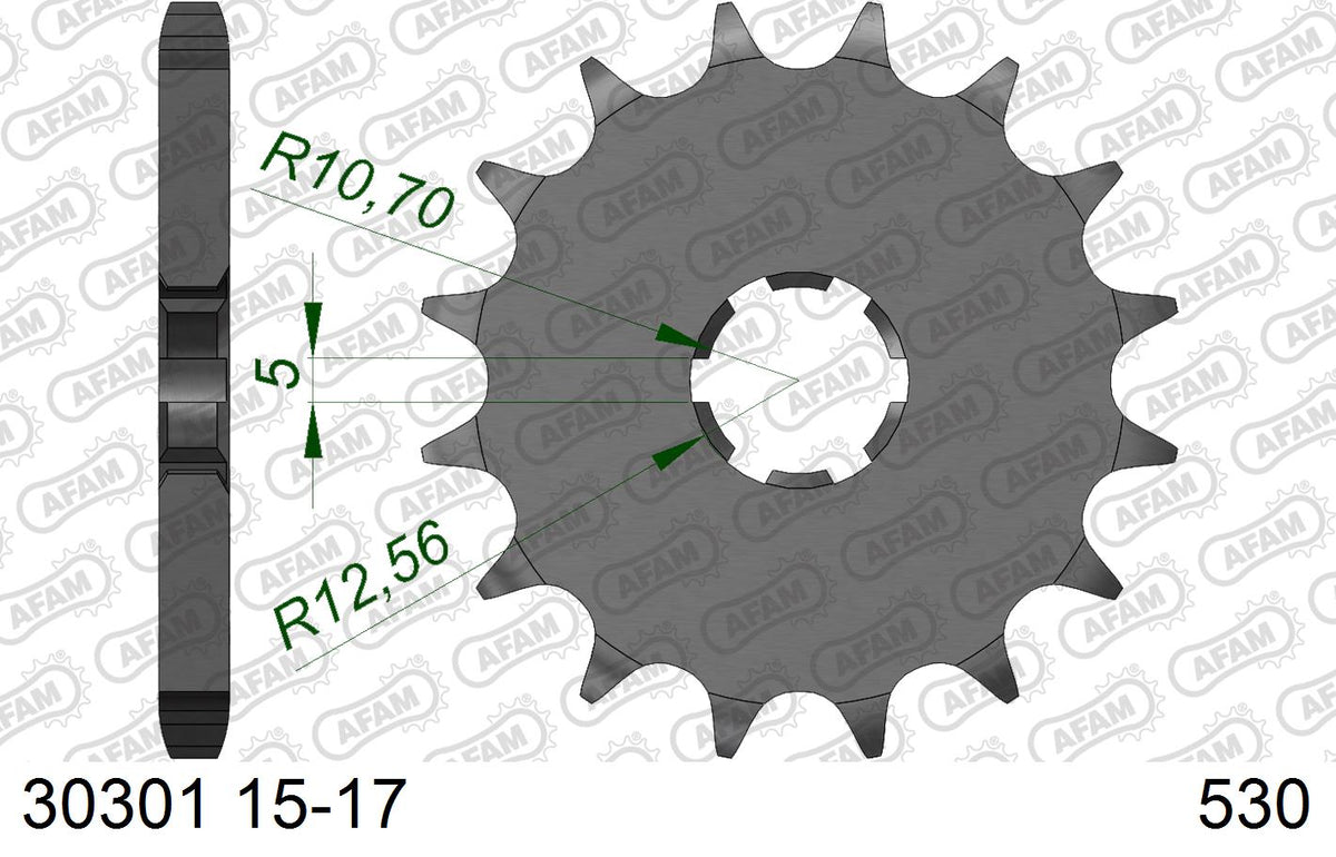AFAM Reinforced Chain & Steel Sprocket Kit, 530 (OE Pitch) - Plain Steel 96 link Reinforced chain, 17T steel/39T Steel sprockets – Yamaha RD250 Aircooled 1976