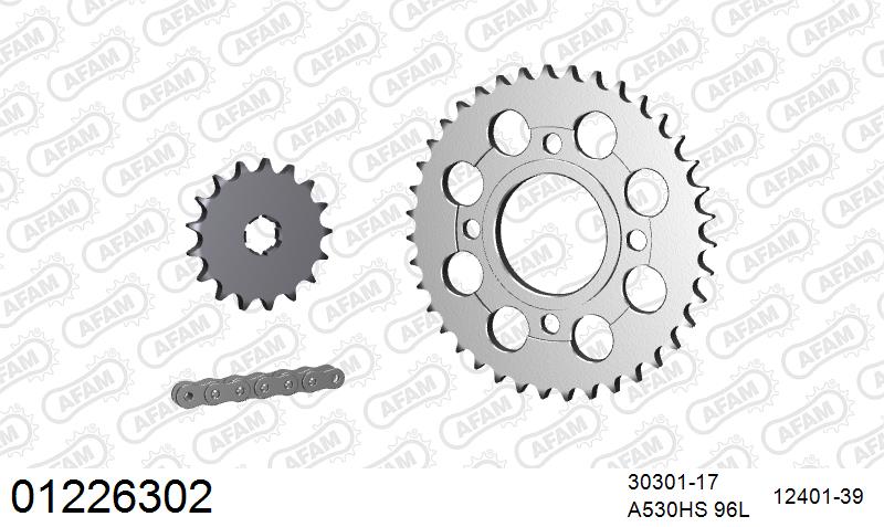 AFAM Reinforced Chain & Steel Sprocket Kit, 530 (OE Pitch) - Plain Steel 96 link Reinforced chain, 17T steel/39T Steel sprockets – Yamaha RD250 Aircooled 1979–1980