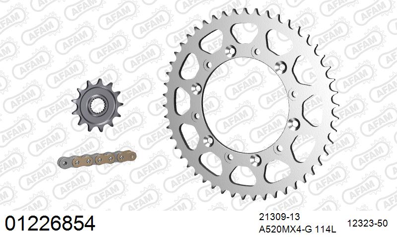 AFAM MX Racing GP Chain & Steel Sprocket Kit, 520 (OE Pitch) - Gold 114 link MX Racing GP chain, 13T steel/50T Steel sprockets – Fantic XXF 250 2022–2026 / Yamaha YZ250F 2014–2023