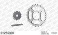 AFAM Reinforced Chain & Steel Sprocket Kit, 530 (OE Pitch) - Plain Steel 96 link Reinforced chain, 16T steel/39T Steel sprockets – Yamaha RD350 Aircooled 1974–1976