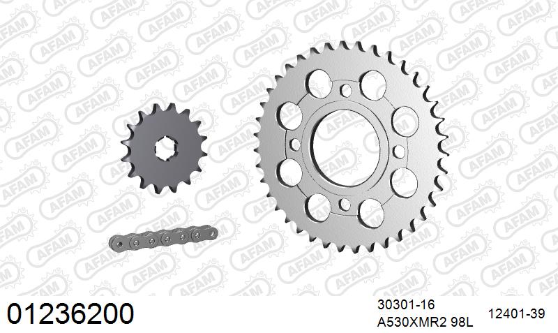 AFAM XS-ring Extra Reinforced Chain & Steel Sprocket Kit, 530 (OE Pitch) - Plain Steel 98 link XS-ring Extra Reinforced chain, 16T steel/39T