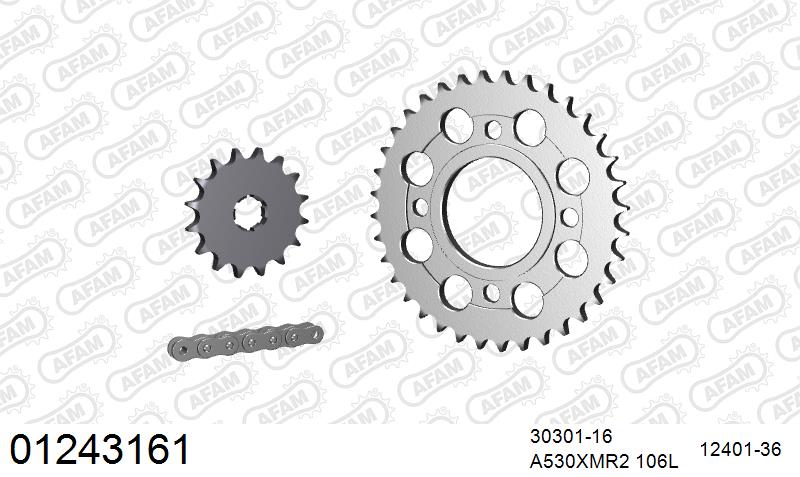AFAM XS-ring Extra Reinforced Chain & Steel Sprocket Kit, 530 (OE Pitch) - Plain Steel 106 link XS-ring Extra Reinforced chain, 16T steel/36