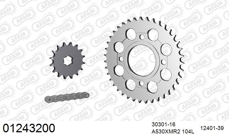 AFAM XS-ring Extra Reinforced Chain & Steel Sprocket Kit, 530 (OE Pitch) - Plain Steel 104 link XS-ring Extra Reinforced chain, 16T steel/39 – Yamaha XS400 / SE 1978–1980