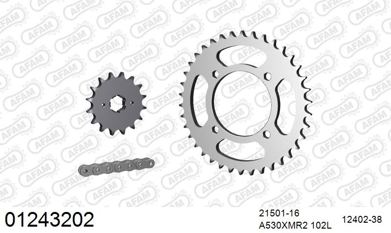 AFAM XS-ring Extra Reinforced Chain & Steel Sprocket Kit, 530 (OE Pitch) - Plain Steel 102 link XS-ring Extra Reinforced chain, 16T steel/38
