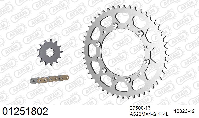 AFAM MX Racing GP Chain & Steel Sprocket Kit, 520 (OE Pitch) - Gold 114 link MX Racing GP chain, 13T steel/49T Steel sprockets (01251802)
