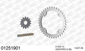 AFAM Xs-Ring Reinforced Plus Chain & Steel Sprocket Kit, 520 (OE Pitch) - Gold 98 link Xs-Ring Reinforced Plus chain, 14T steel/38T Steel sp – Yamaha YFZ450 ATV 2009–2026