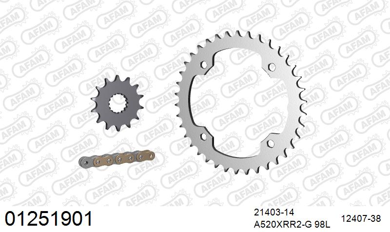 AFAM Xs-Ring Reinforced Plus Chain & Steel Sprocket Kit, 520 (OE Pitch) - Gold 98 link Xs-Ring Reinforced Plus chain, 14T steel/38T Steel sp – Yamaha YFZ450 ATV 2009–2026