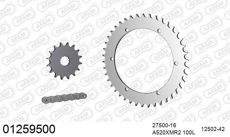 AFAM Xs-Ring Reinforced Plus Chain & Steel Sprocket Kit, 520 (OE Pitch) - Gold 100 link Xs-Ring Reinforced Plus chain, 16T steel/42T Steel s