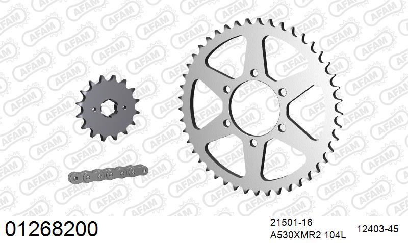 AFAM XS-ring Extra Reinforced Chain & Steel Sprocket Kit, 530 (OE Pitch) - Plain Steel 104 link XS-ring Extra Reinforced chain, 16T steel/45 – Yamaha XJ550 1981–1984 / Yamaha XJ550 S 1982–1984