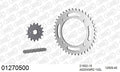 AFAM XS-ring Extra Reinforced Chain & Steel Sprocket Kit, 520 (OE Pitch) - Plain Steel 102 link XS-ring Extra Reinforced chain, 15T steel/40