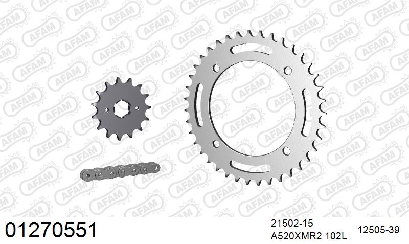 AFAM XS-ring Extra Reinforced Chain & Steel Sprocket Kit, 520 (OE Pitch) - Plain Steel 102 link XS-ring Extra Reinforced chain, 15T steel/39 – Yamaha XTZ600Z Tenere 1984