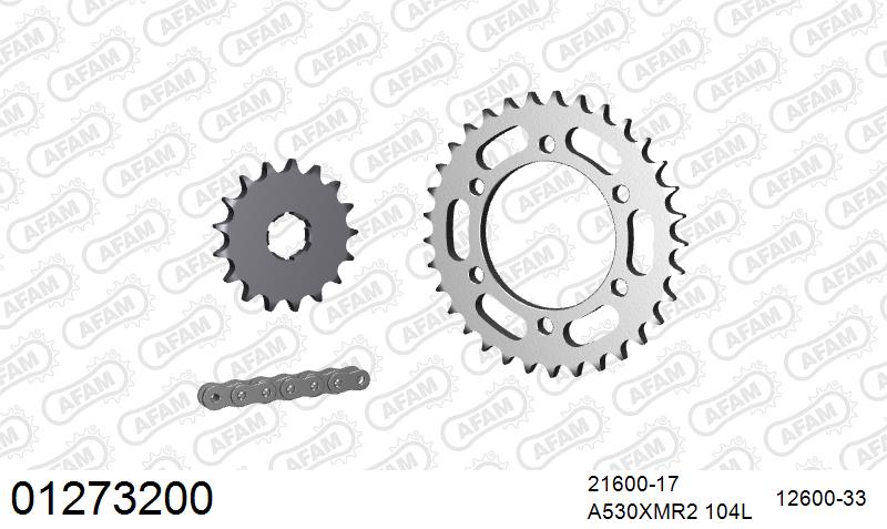 AFAM XS-ring Extra Reinforced Chain & Steel Sprocket Kit, 530 (OE Pitch) - Plain Steel 104 link XS-ring Extra Reinforced chain, 17T steel/33