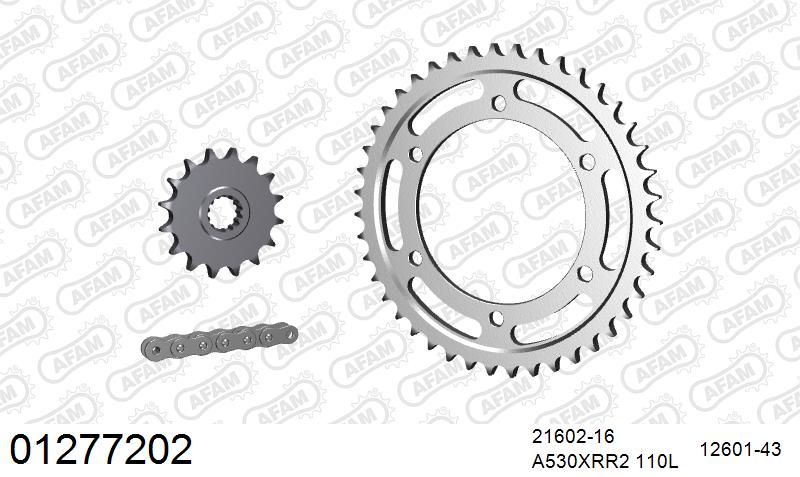 AFAM XS-ring Extra Reinforced Chain & Steel Sprocket Kit, 530 (OE Pitch) - Plain Steel 110 link XS-ring Extra Reinforced chain, 16T steel/43 – Yamaha FZ750 1987–1989