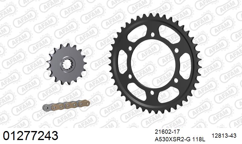 AFAM XS-ring super reinforced Chain & Steel Sprocket Kit, 530 (OE Pitch) - Gold 118 link XS-ring super reinforced chain, 17T steel/43T Steel