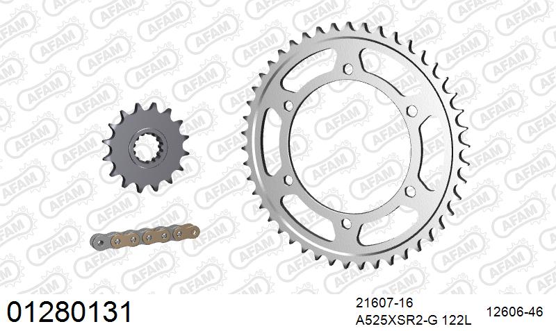 AFAM XS-ring super reinforced Chain & Steel Sprocket Kit, 525 (OE Pitch) - Gold 122 link XS-ring super reinforced chain, 16T steel/46T Steel