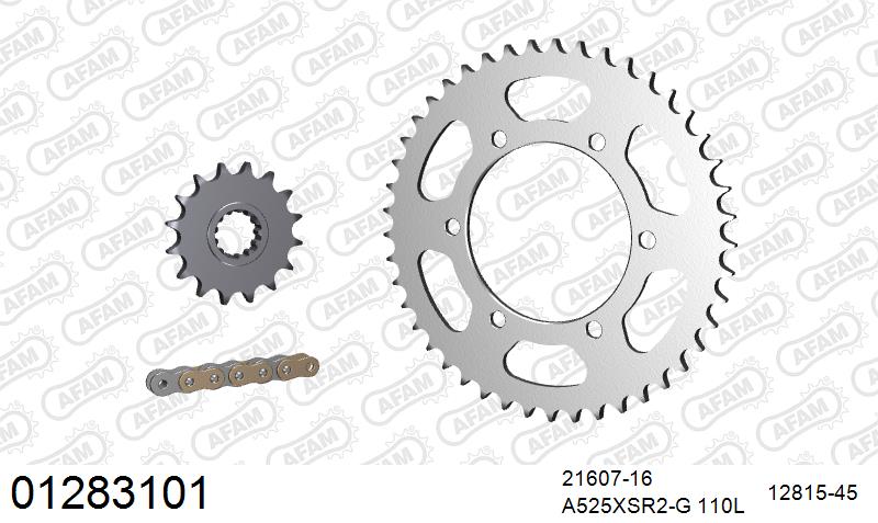 AFAM XS-ring super reinforced Chain & Steel Sprocket Kit, 525 (OE Pitch) - Gold 110 link XS-ring super reinforced chain, 16T steel/45T Steel