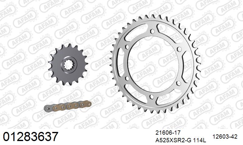 AFAM XS-ring Extra Reinforced Chain & Steel Sprocket Kit, 525 (OE Pitch) - Plain Steel 114 link XS-ring Extra Reinforced chain, 17T steel/42